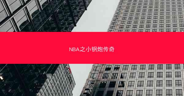 NBA之小钢炮传奇