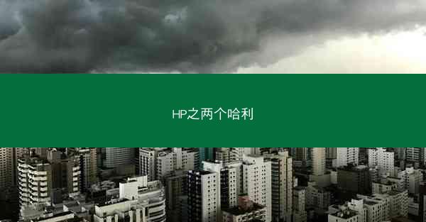 HP之两个哈利
