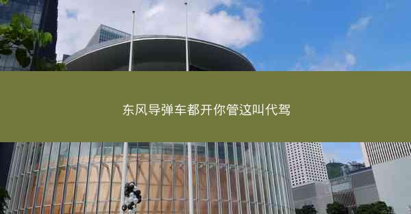 东风导弹车都开你管这叫代驾
