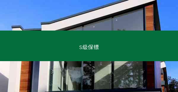 S级保镖