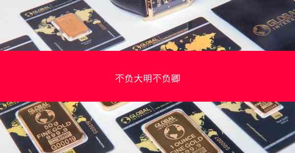 不负大明不负卿
