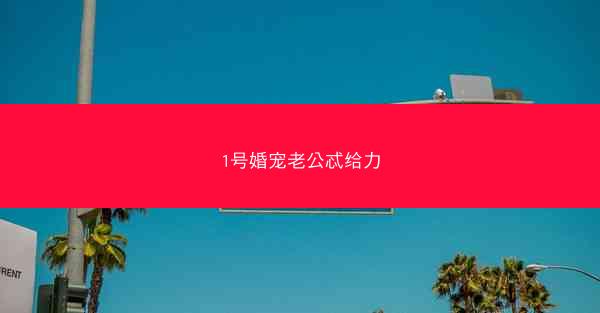 1号婚宠老公忒给力