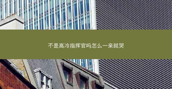 不是高冷指挥官吗怎么一亲就哭