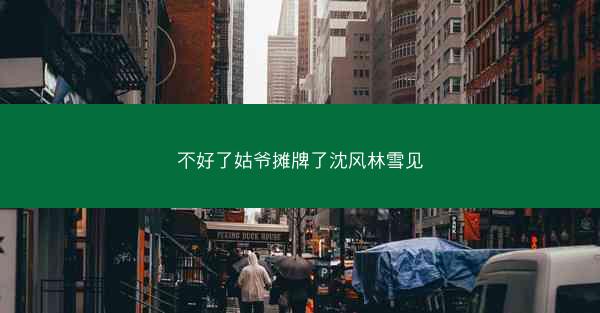 不好了姑爷摊牌了沈风林雪见