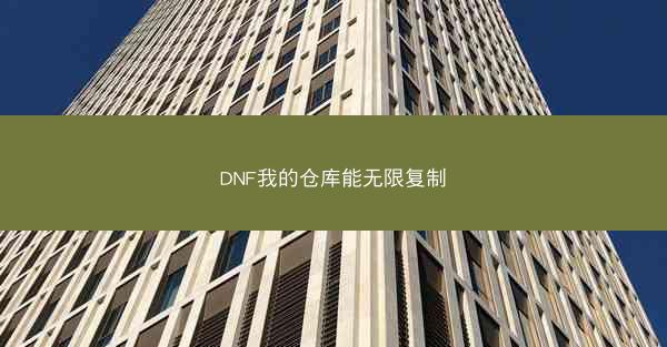 DNF我的仓库能无限复制