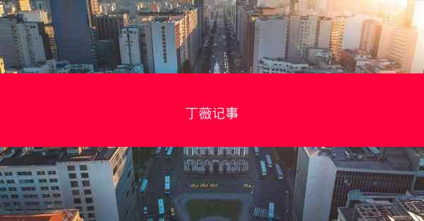 丁薇记事