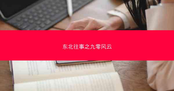 东北往事之九零风云