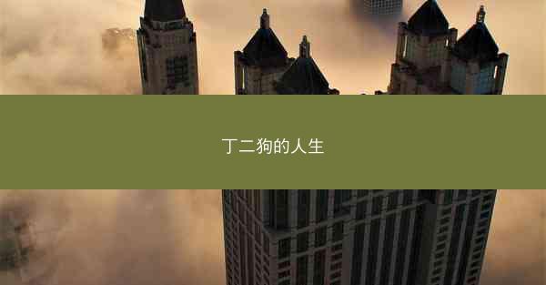 丁二狗的人生