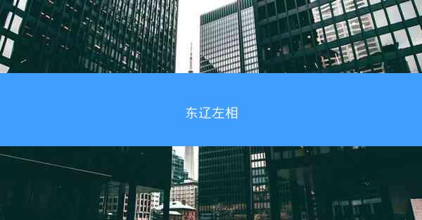 东辽左相