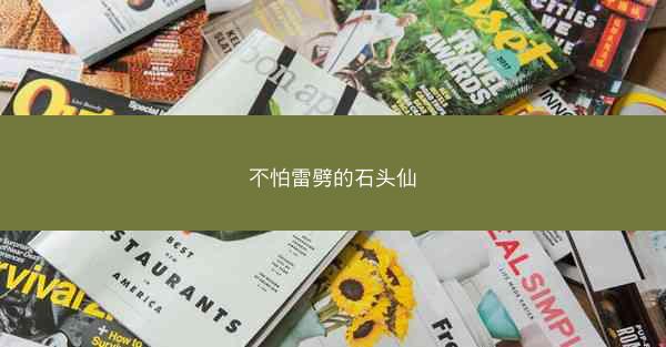 不怕雷劈的石头仙