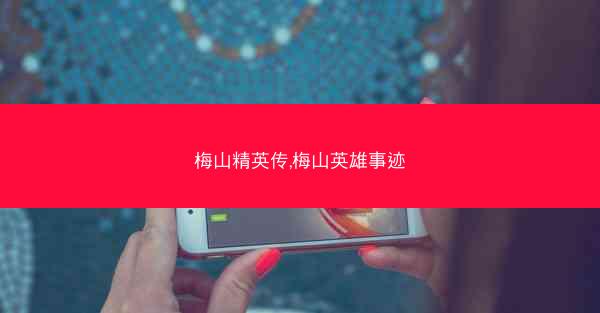 梅山精英传,梅山英雄事迹