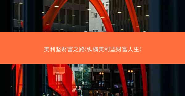 美利坚财富之路(纵横美利坚财富人生)