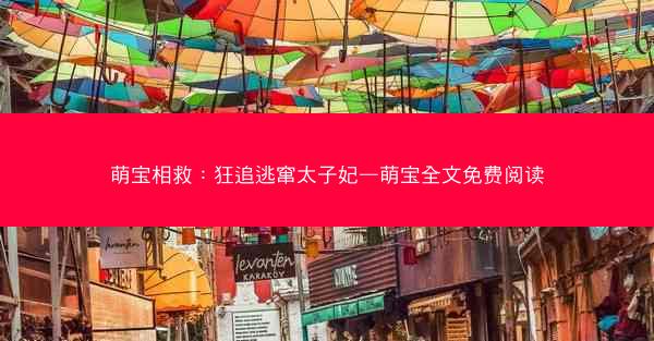 萌宝相救：狂追逃窜太子妃—萌宝全文免费阅读