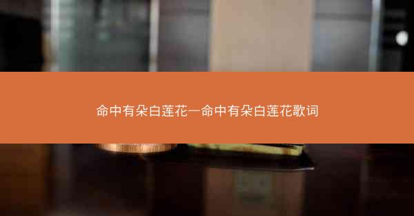 命中有朵白莲花—命中有朵白莲花歌词
