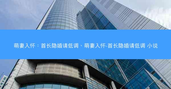 萌妻入怀：首长隐婚请低调、萌妻入怀-首长隐婚请低调 小说