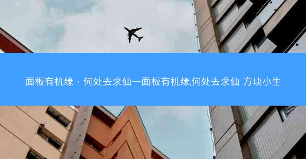 面板有机缘，何处去求仙—面板有机缘,何处去求仙 方块小生