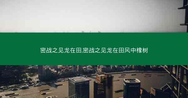 密战之见龙在田,密战之见龙在田风中橡树