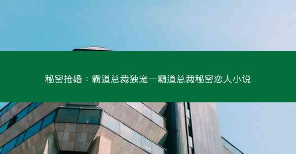 秘密抢婚：霸道总裁独宠—霸道总裁秘密恋人小说
