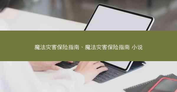 魔法灾害保险指南、魔法灾害保险指南 小说
