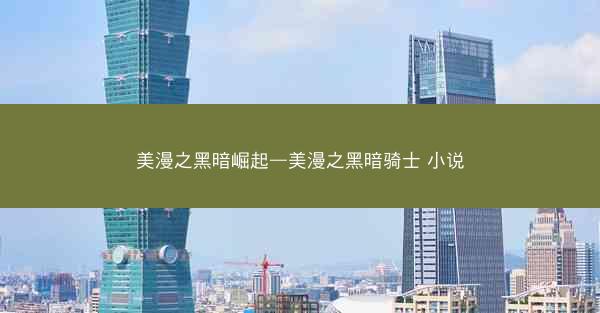 美漫之黑暗崛起—美漫之黑暗骑士 小说