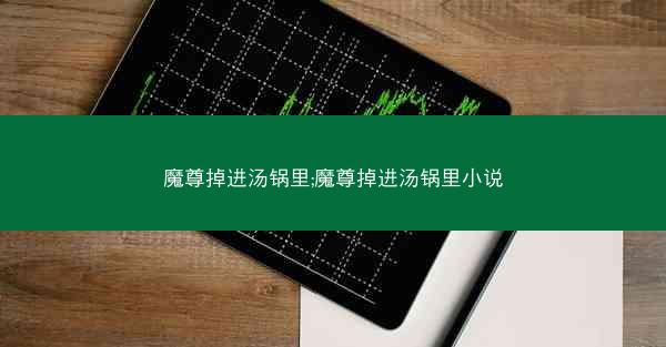 魔尊掉进汤锅里;魔尊掉进汤锅里小说