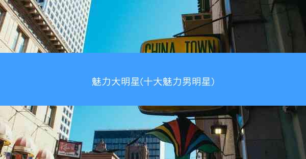 魅力大明星(十大魅力男明星)