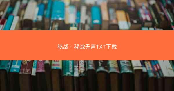 秘战、秘战无声TXT下载