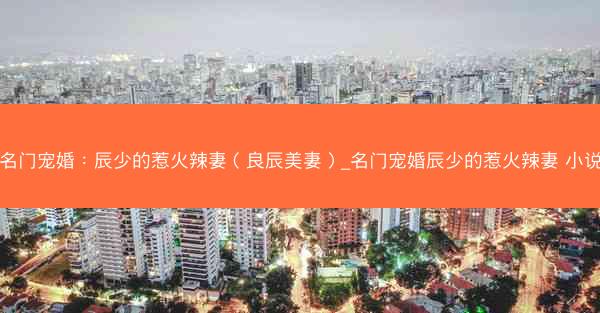 名门宠婚：辰少的惹火辣妻（良辰美妻）_名门宠婚辰少的惹火辣妻 小说