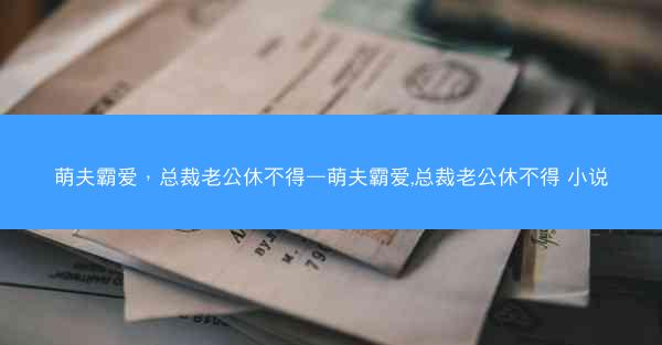 萌夫霸爱，总裁老公休不得—萌夫霸爱,总裁老公休不得 小说