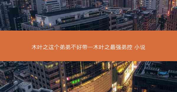 木叶之这个弟弟不好带—木叶之最强弟控 小说