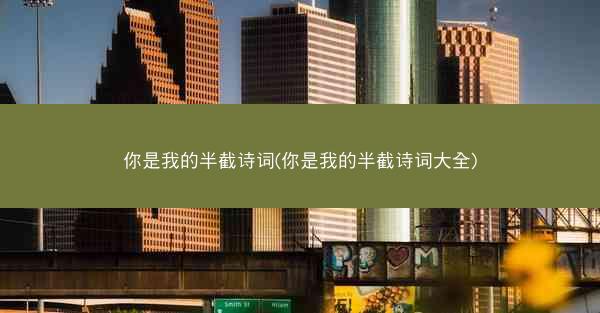 你是我的半截诗词(你是我的半截诗词大全)