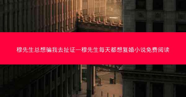 穆先生总想骗我去扯证—穆先生每天都想复婚小说免费阅读