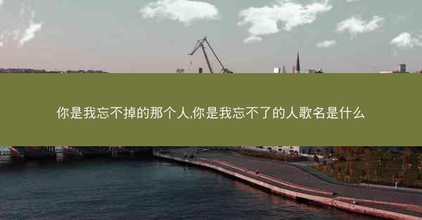 你是我忘不掉的那个人,你是我忘不了的人歌名是什么