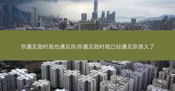 你遇见我时我也遇见你;你遇见我时我已经遇见你很久了