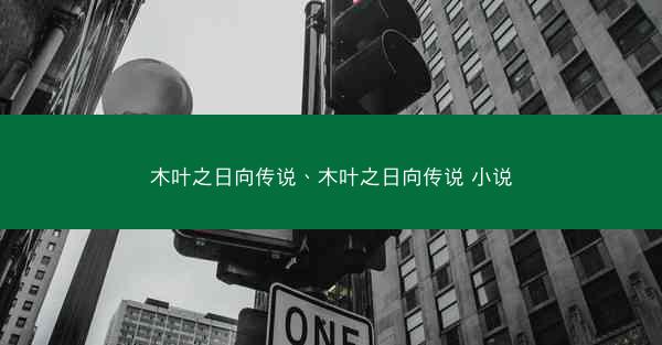 木叶之日向传说、木叶之日向传说 小说