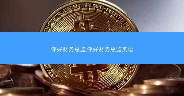 你好财务总监,你好财务总监英语
