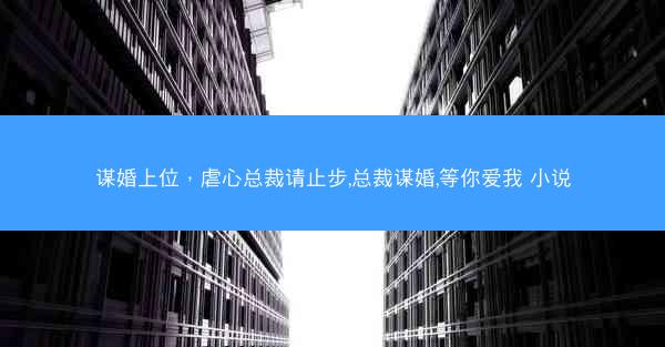 谋婚上位，虐心总裁请止步,总裁谋婚,等你爱我 小说