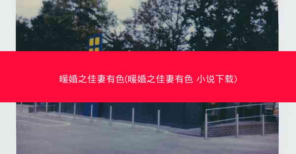 暖婚之佳妻有色(暖婚之佳妻有色 小说下载)