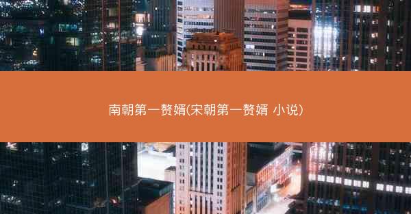 南朝第一赘婿(宋朝第一赘婿 小说)