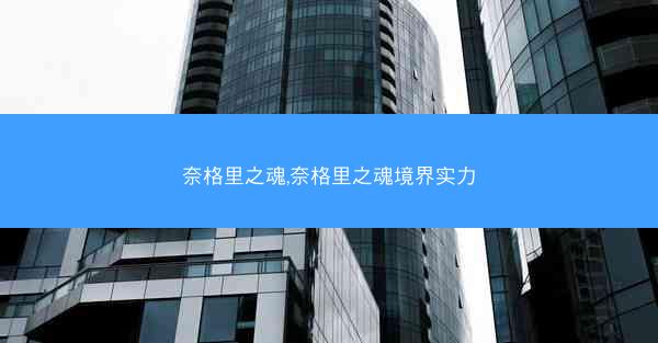 奈格里之魂,奈格里之魂境界实力