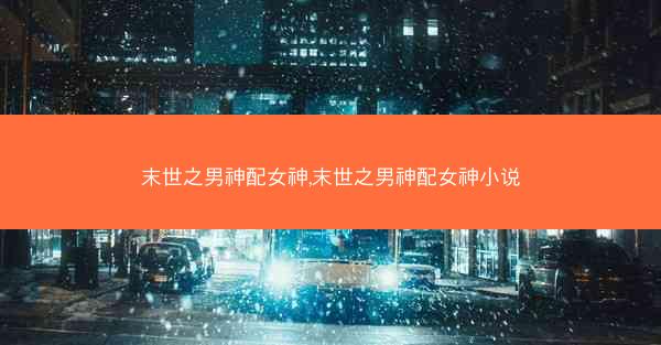 末世之男神配女神,末世之男神配女神小说