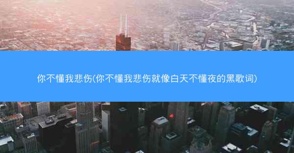 你不懂我悲伤(你不懂我悲伤就像白天不懂夜的黑歌词)