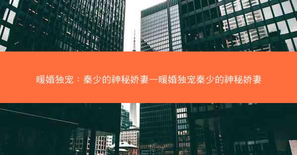 暖婚独宠：秦少的神秘娇妻—暖婚独宠秦少的神秘娇妻