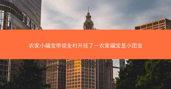 农家小福宝带领全村开挂了—农家福宝是小团宠