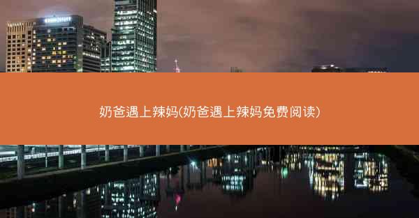 奶爸遇上辣妈(奶爸遇上辣妈免费阅读)
