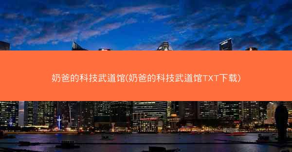 奶爸的科技武道馆(奶爸的科技武道馆TXT下载)