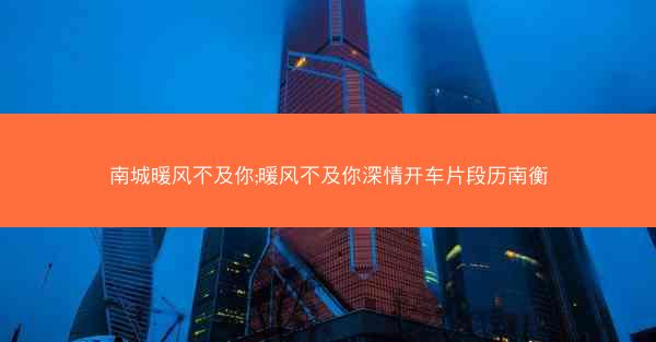 南城暖风不及你;暖风不及你深情开车片段历南衡