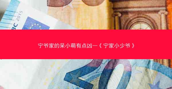 宁爷家的呆小萌有点凶—《宁家小少爷》
