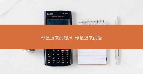 你是迟来的暖风_你是迟来的爱