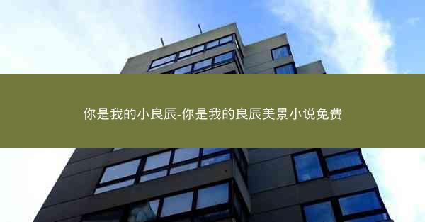 你是我的小良辰-你是我的良辰美景小说免费